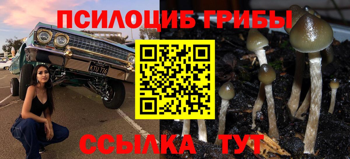 Псилоцибиновые грибы прущие грибы  Вход с VPN  где продают   Ефремов  Псилоцибиновые грибы GOLDEN TEACHER 